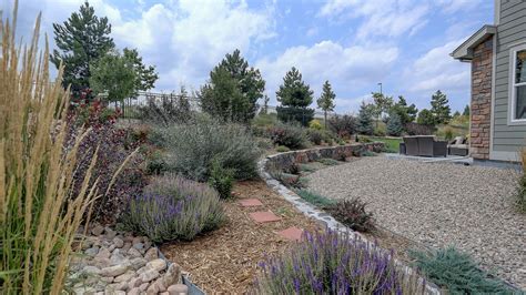 What Is Xeriscaping? (+ 6 Examples) - Wilson Exteriors