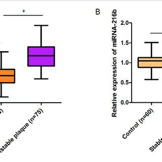 Serum Levels Of Ccat And Mirna B In Patients With Carotid