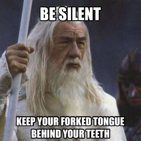 Gandalf To Grima Wormtongue Humor Memes Social Media Break