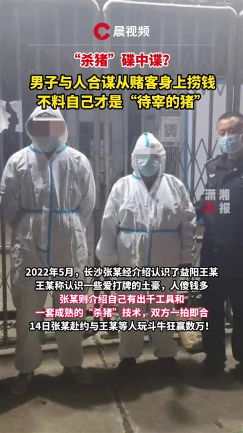 “杀猪”碟中谍？男子与人合谋从赌客上捞钱，不料自己被套路 凤凰网视频 凤凰网