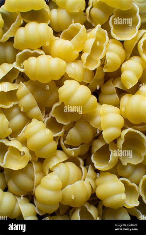 Flat Lay Of Uncooked Gnocchetti Pasta Shells Top View Of Gnocchi Pasta