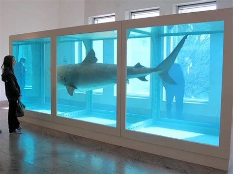 Damien Hirst The Physical Impossibility Of Death In The M Flickr