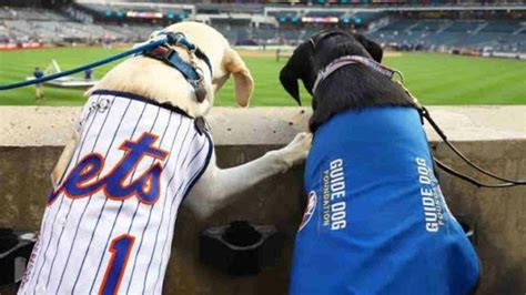 Barks At The Park Francisco Lindors 26th Home Run Fetched By Nice