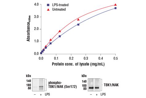 Fastscan™ Total Tbk1nak Elisa Kit Cell Signaling Technology