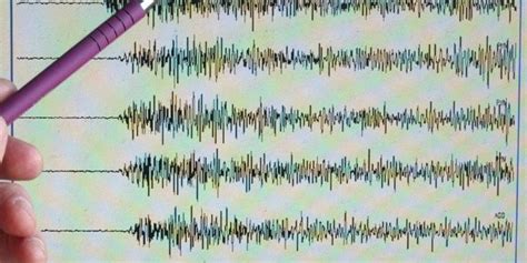 Sismo Hoy Se Registra Sismo En Guerrero Se Percibe En Cdmx El