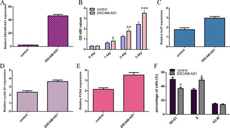 Overexpression Of Dscam As Induced Cervical Carcinoma Cell Growth And