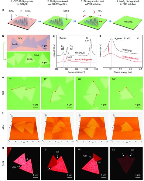 Cvd Grown Monolayer Mos 2 Crystals With Different Crystallographic Download Scientific Diagram