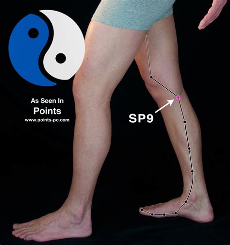 Acupuncture Point Spleen Acupuncture Technology News