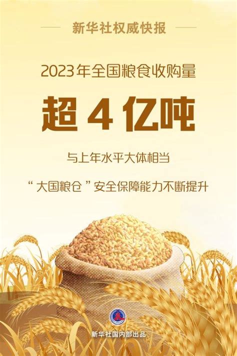 2023年全国粮食收购量超4亿吨粮食收购量储备局新浪新闻