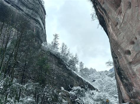 【桂林资源八角寨】2024年资源八角寨的第一场雪！ 风姿摄影 桂林人论坛 Powered By Discuz