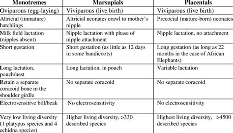 Monotremes Evolution And Classification