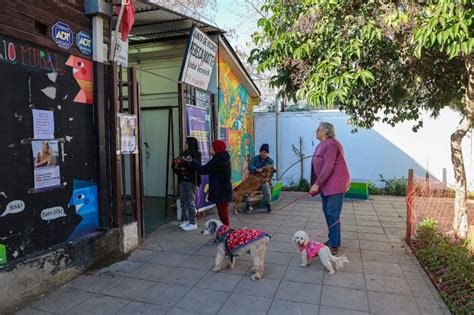 Municipalidad de Ñuñoa on Twitter Operativo de Bienestar Animal en