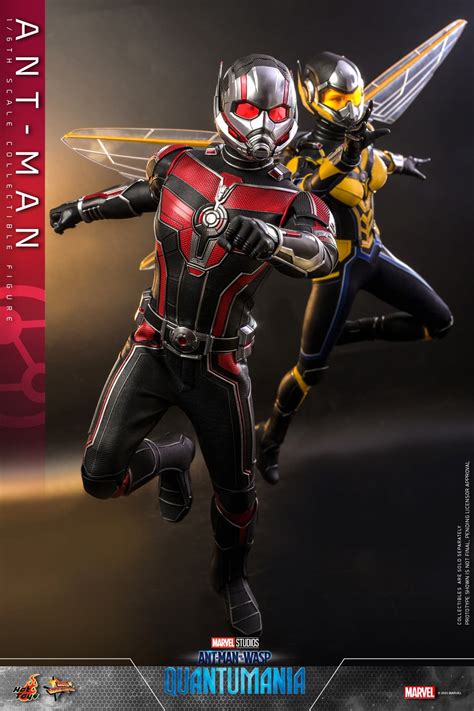 Hot Toys Enters the Quantum Realm with New MCU Ant-Man 1/6 Figure