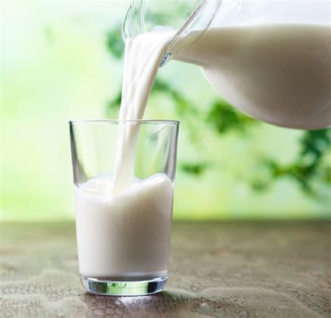 Lactose-free or lactose-free milk: is it good or bad? - ThedietMD