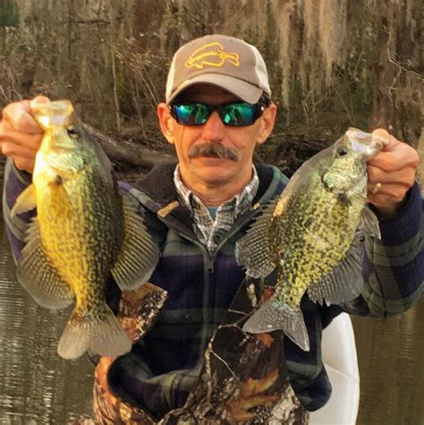 Cold Water Crappie In The Marsh