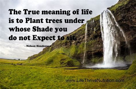 The True Meaning Of Life Is To Plant Trees Under Whose Shade You Do Not