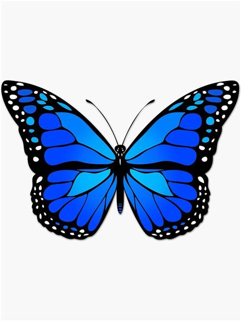 Blue Butterfly Sticker By Gaspar Avila Butterfly Drawing Butterfly