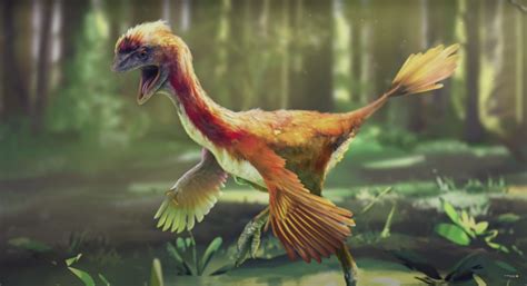 Amazingly Preserved Bird Fossils Reveal Links to Dinosaurs