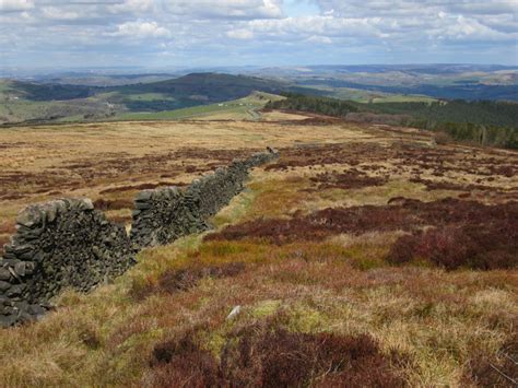 Free Images Landscape Grass Marsh Wilderness Mountain Trail