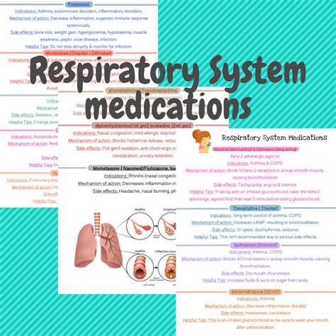 Respiratory System Medications Nursing School Pharmacology Etsy