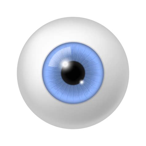 Premium Vector Realistic Human Eyeball Anatomy Blue Eye Close Up