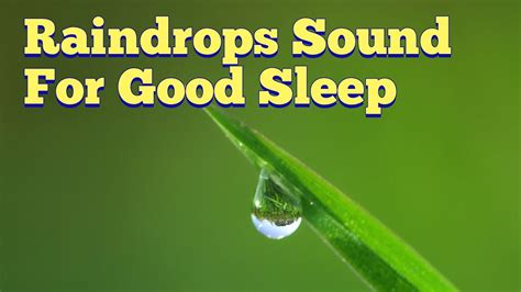 Raindrops Sound For Good Sleep Insomnia Stress Relief Calming Sound