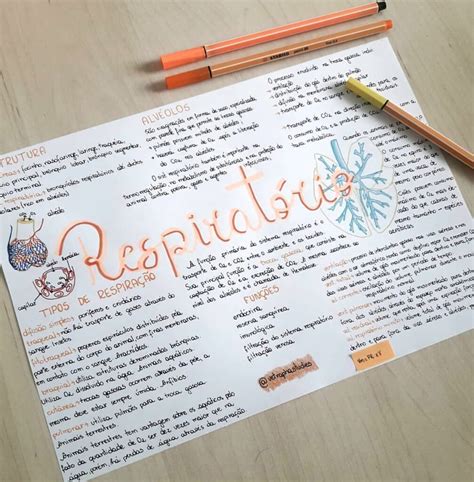 Mapa Mental Sobre Sistema Respirat Rio Study Maps