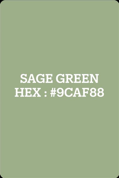 Sage Green Color Palette - #9CAF88 (RGB 156,175,136)