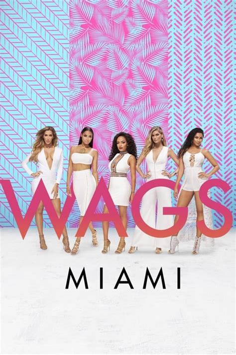 Wags Miami Tv Series 2016 2017 — The Movie Database Tmdb