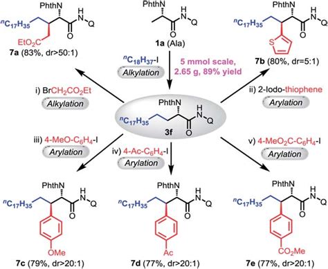 Synthesis Of B B Disubstituted A Amino Acids Via Sequential