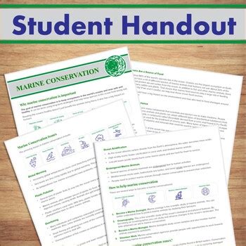 Marine Conservation Video Lesson Handout Worksheet Environmental