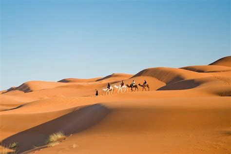 Real Sahara Experience Marrakech All You Need To Know