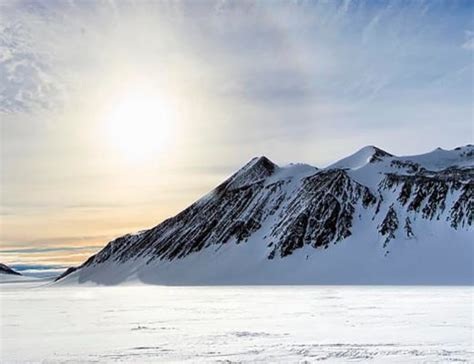 Geologists discover fossils from 13 ancient tree species in Antarctica