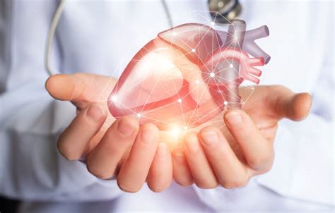 3d Printed Human Heart