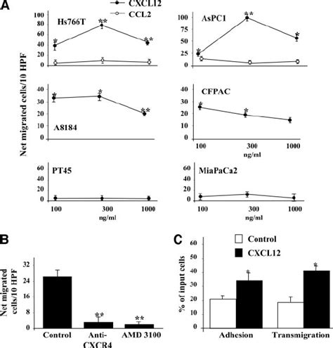 Cxcl12 Stimulates Pancreatic Cancer Cell Chemotaxis And Download Scientific Diagram