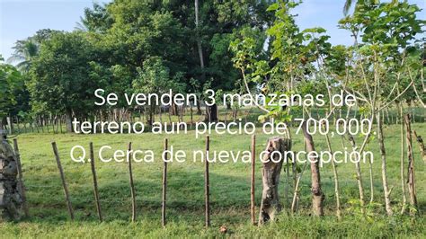 Se Venden 3 Manzanas De Terreno Aun Precio De 700 000 Q Por Las 3