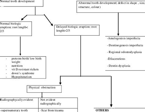 Etiology And Diagnosis Of Chronological Delayed Tooth Eruption 2sd Download Table