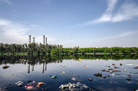 La Contaminación Ambiental Resumen Parques Alegres Iap