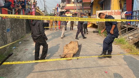 बिर्तामाेडमा एक महिला मृत फेला