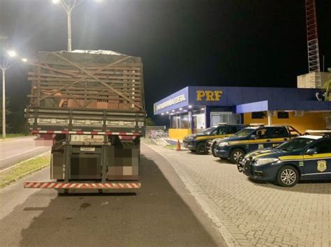 PRF flagra caminhões transportando mercadorias sem notas fiscais AJN1