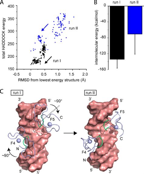 Data Driven Structural Modeling Of F F Dna Interaction A Graph