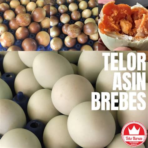 Jual TELUR ASIN BREBES REBUS ASAP 1 Dus Isi 6 Harum Snack Official