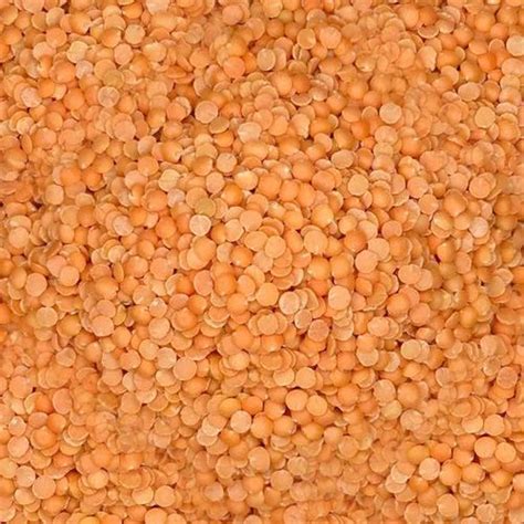 Red Polished Masoor Dal Pan India High In Protein At Rs 80 Kg In Chennai