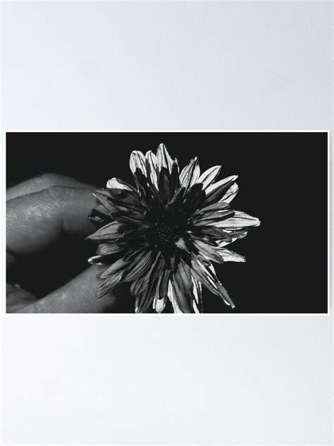 Hand Monochromatic Black White Flowers Plant Poster For Sale By