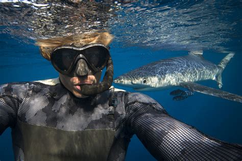 Climate Change Could Bring New Shark Species To Uk Waters Trendradars