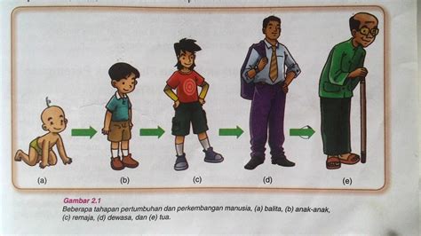 Mari Belajar Ilmu Pengetahuan Alam (IPA): Masa Pertumbuhan Pada Manusia