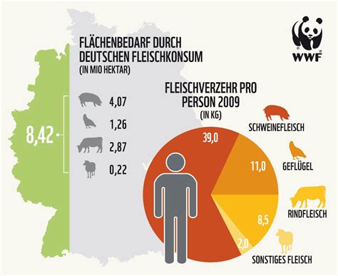 Flächenbedarf durch deutschen Fleischkonsum Infografik Fleisch Verzehr