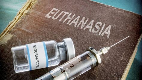 Suben Un 22 Las Peticiones De Eutanasia A Clínica Especializada Holandesa