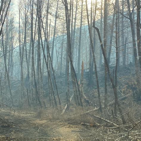 Beachie Creek Fire Not Expected To Grow Significantly Tuesday Katu