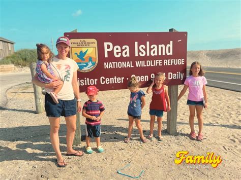 Visit The Pea Island National Wildlife Refuge On The Outer Banks Its